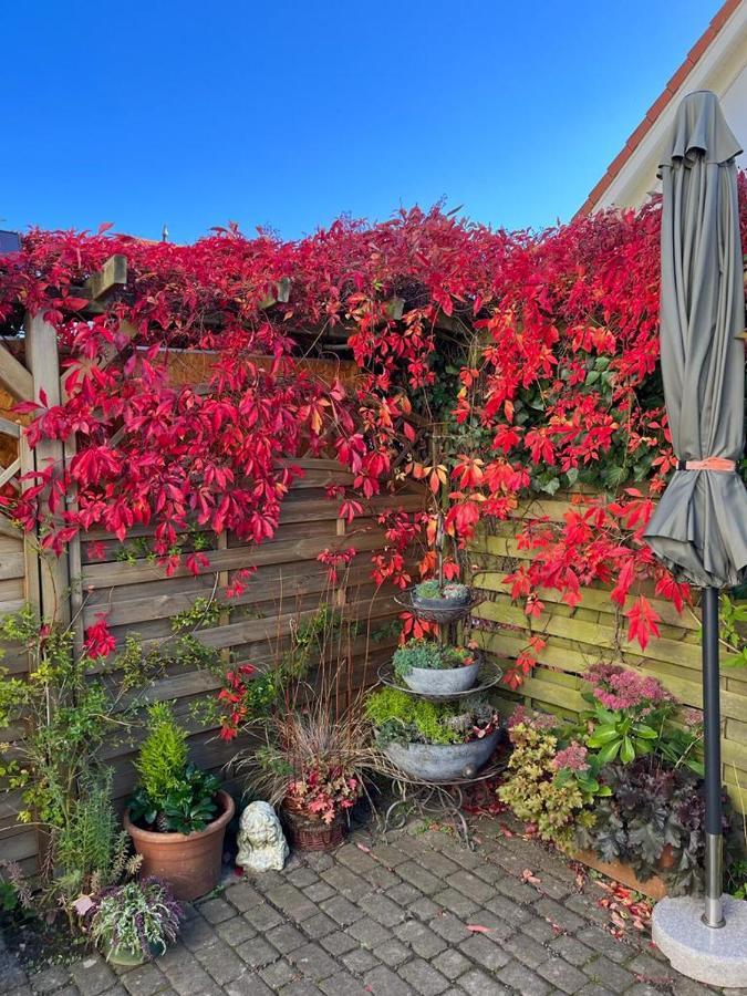 Sonnige Souterrain-Ferienwohnung Sassnitz Ngoại thất bức ảnh